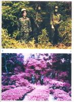 NIR迷彩布料(IRR/NIR Camouflage Fabric)