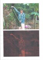 NIR迷彩布料(IRR/NIR Camouflage Fabric)